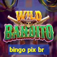 bingo pix br