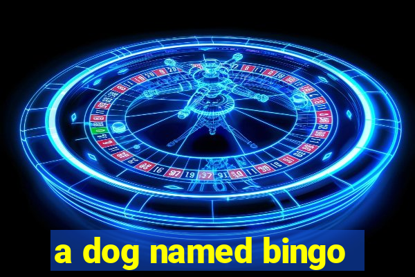 a dog named bingo