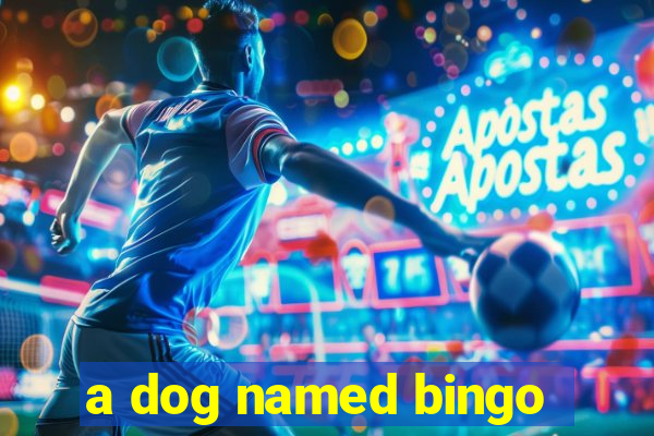 a dog named bingo