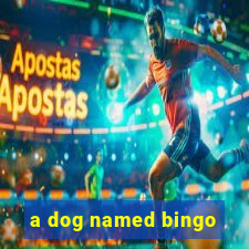 a dog named bingo