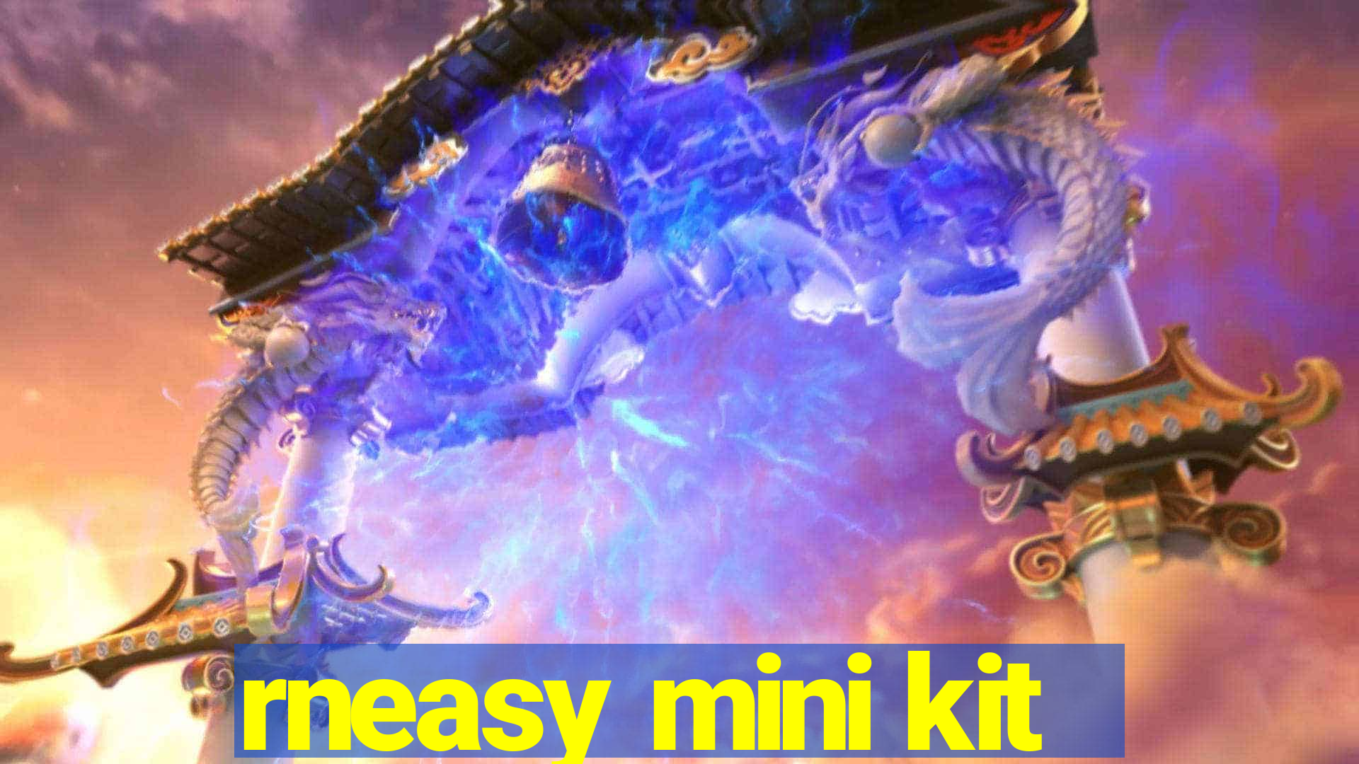 rneasy mini kit