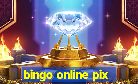 bingo online pix