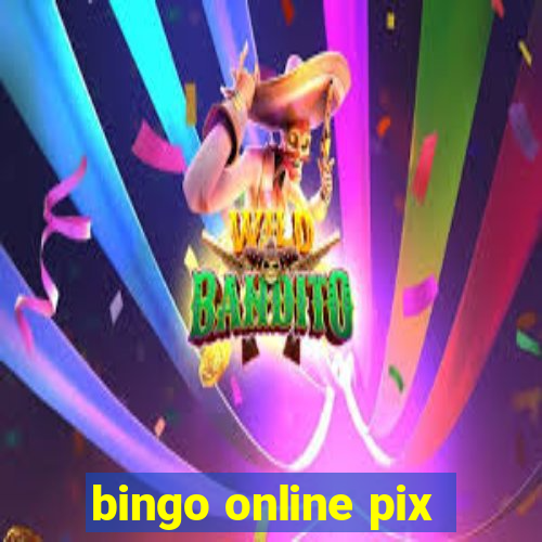 bingo online pix