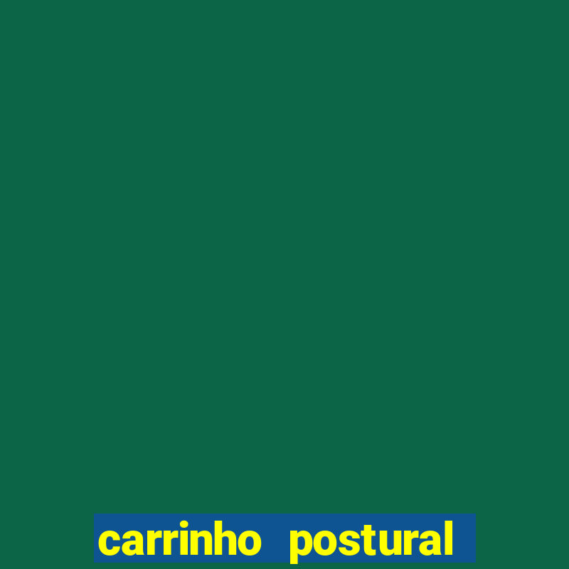 carrinho postural bingo valor