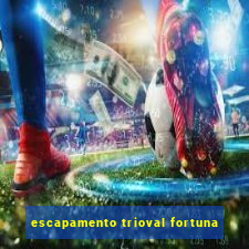 escapamento trioval fortuna